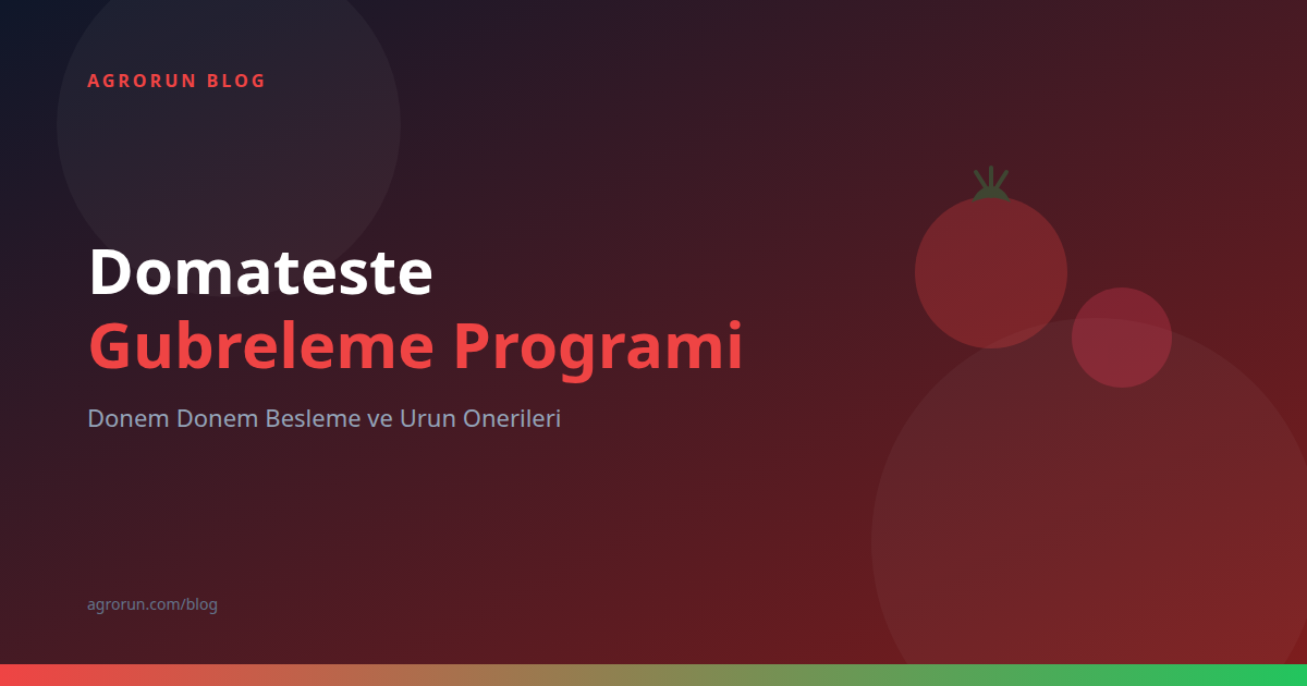 Tomato Fertilization Program: A Stage-by-Stage Nutrition Guide