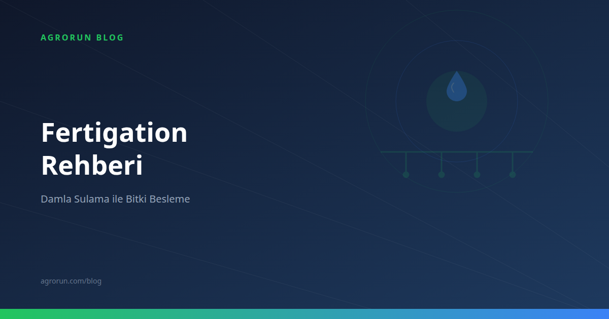 Fertigation Guide: Fertilizer Application Through Drip Irrigation
