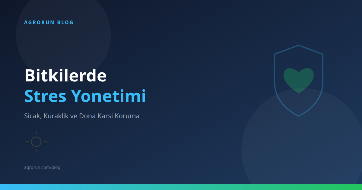 Bitkilerde Stres Yönetimi: Sıcak, Kuraklık ve Dona Karşı Koruma